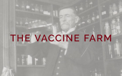 The Vaccine Farm of Palmerston